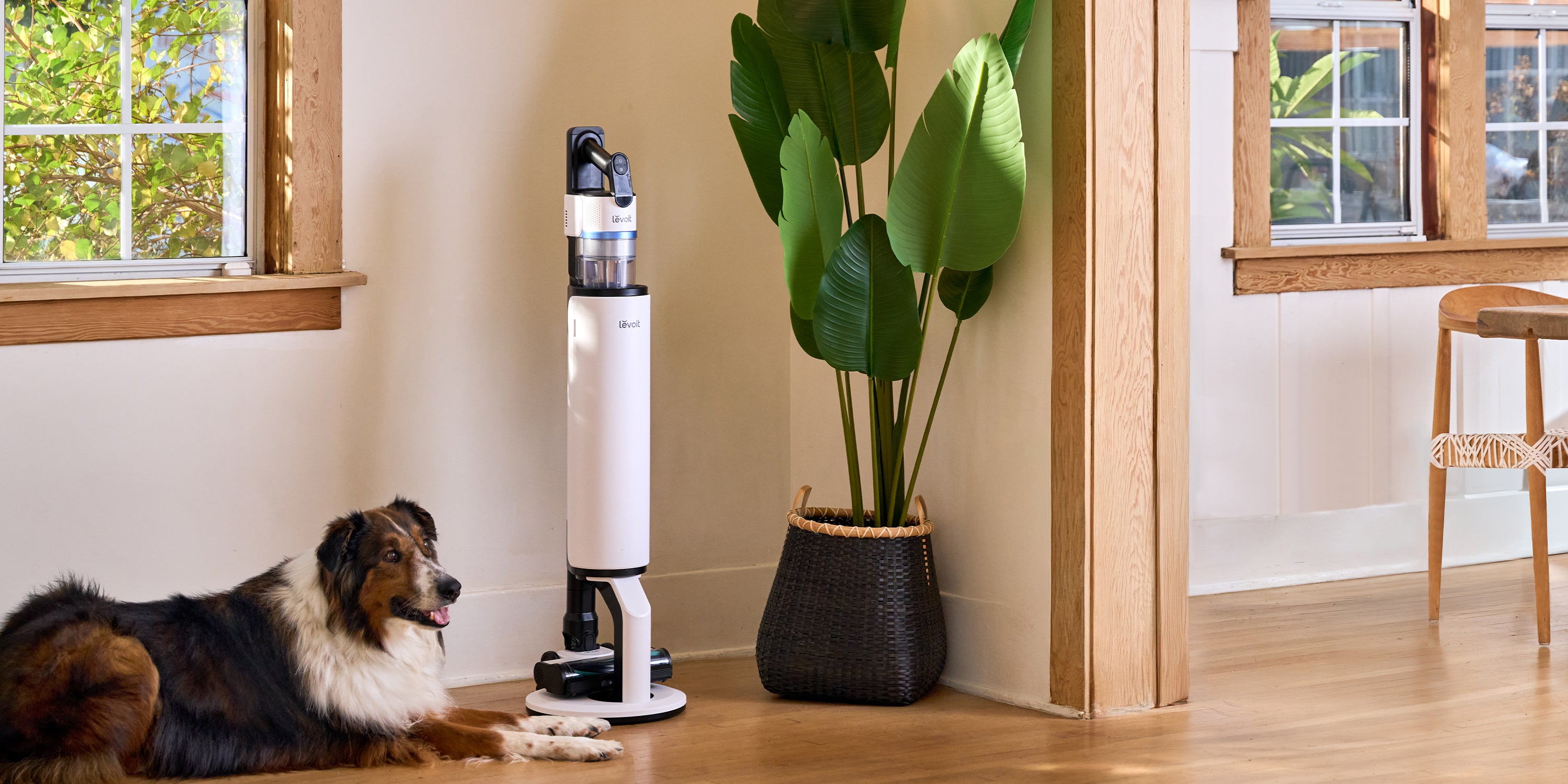 Levoit LV600HH Hybrid Ultrasonic Humidifier